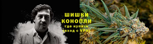 шишки Алексеевка