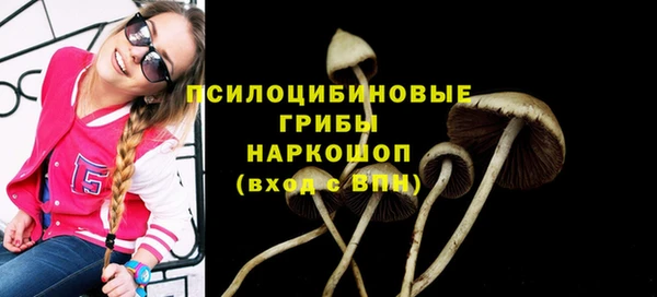 шишки Алексеевка