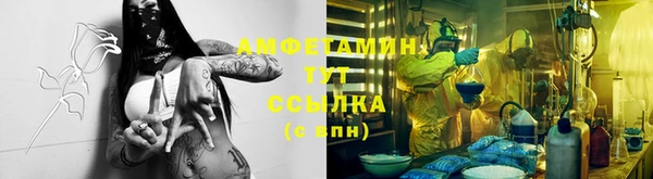 a pvp Алзамай